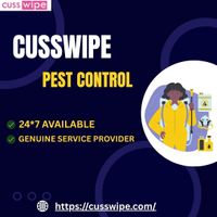 Cockroach  Pest Control