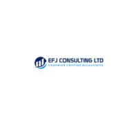 Efj Consulting