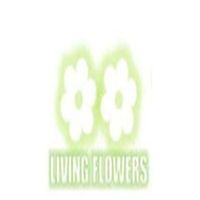 living flowers