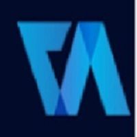 Virtual Auditor