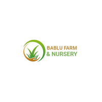 Bablu farm