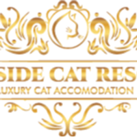 Bayside Cat Resort