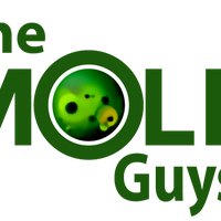 Themold Guys